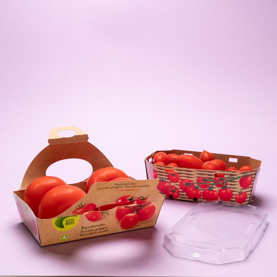 Linea Frutas y Verduras - Image 3