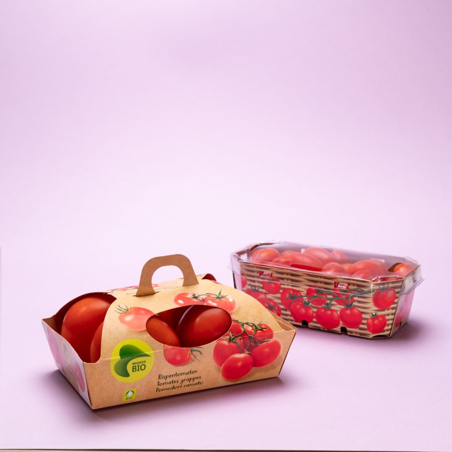 Linea Frutas y Verduras - Image 4
