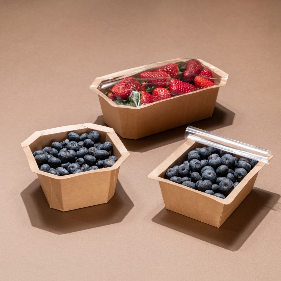 Linea Frutas y Verduras - Image 2